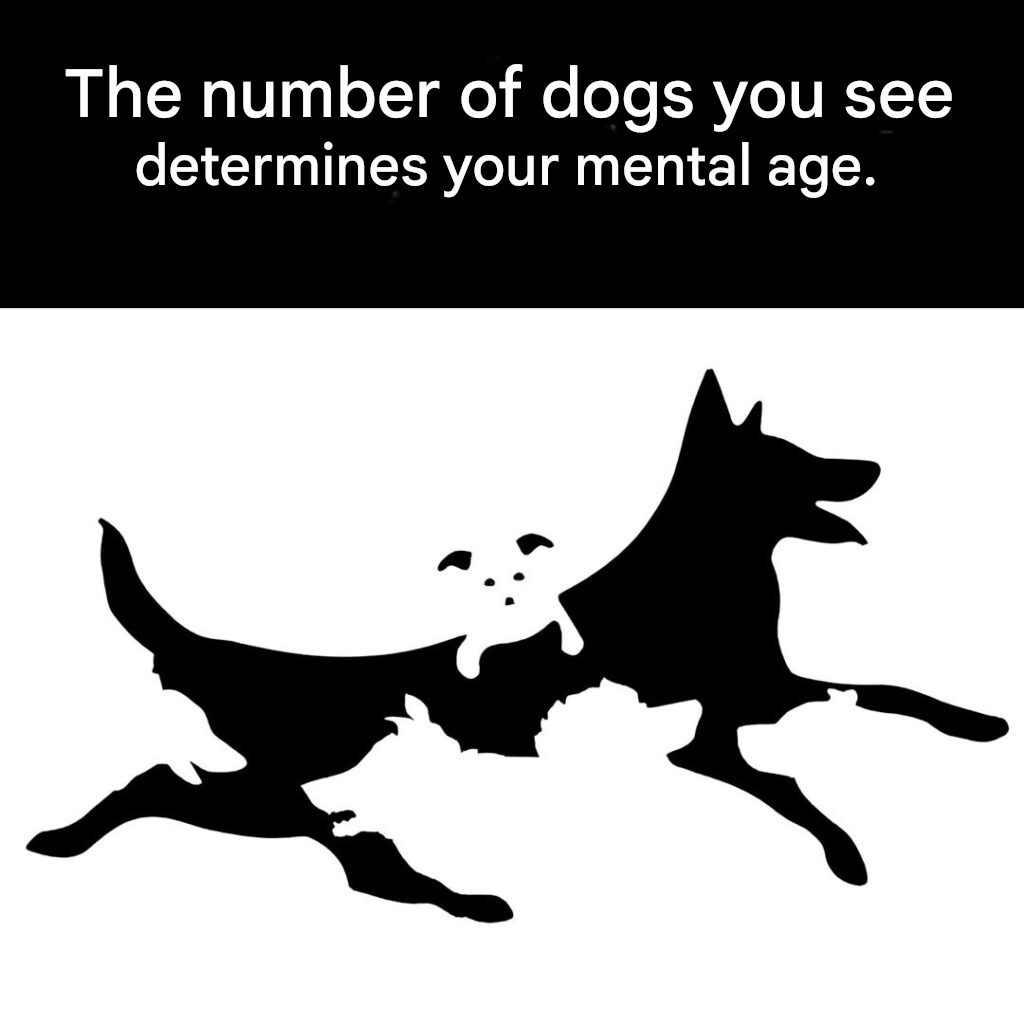 The number of dogs you see in this picture determines your mental age.