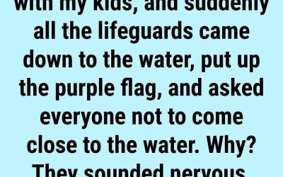 The Purple Flag at the Beach: What It Really Means (And Why You Should Pay Attention)