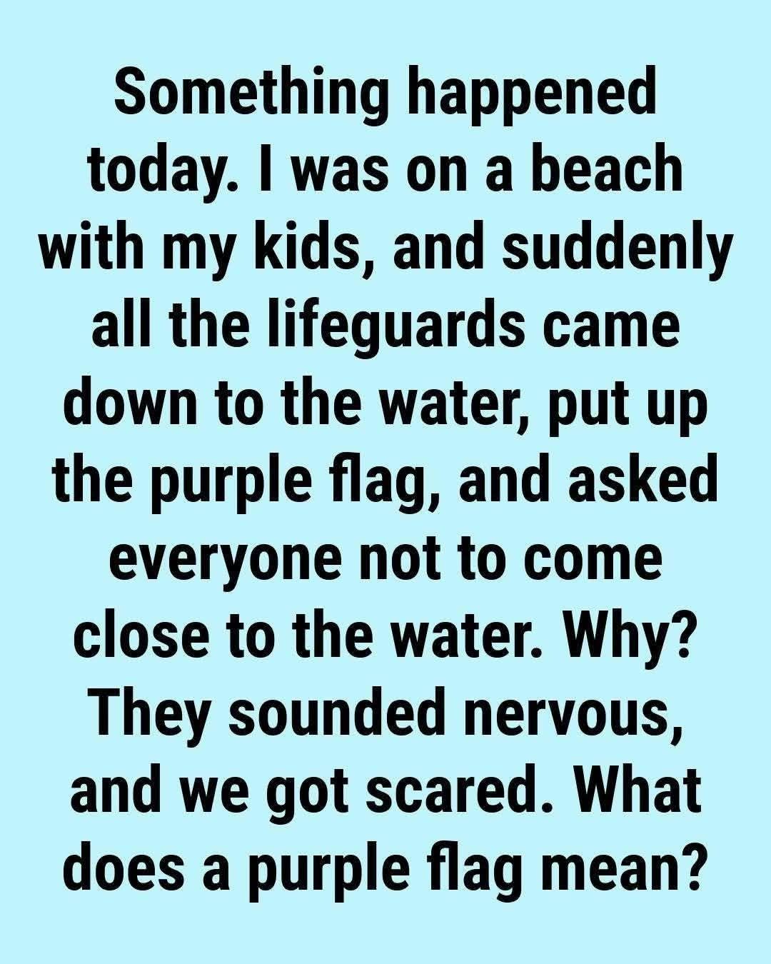 The Purple Flag at the Beach: What It Really Means (And Why You Should Pay Attention)