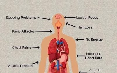 How Stress Affects Your Body and What You Can Do About It