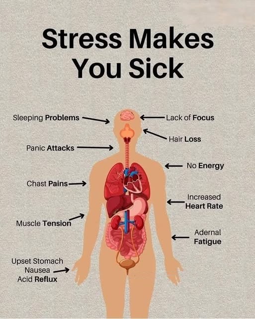 How Stress Affects Your Body and What You Can Do About It