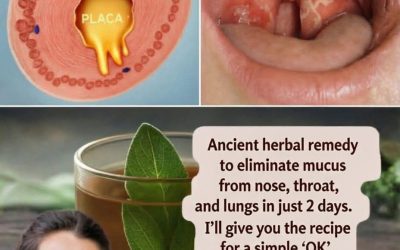Ancestral herbal remedy to remove mucus from the nose, throat and lungs in just 2 days